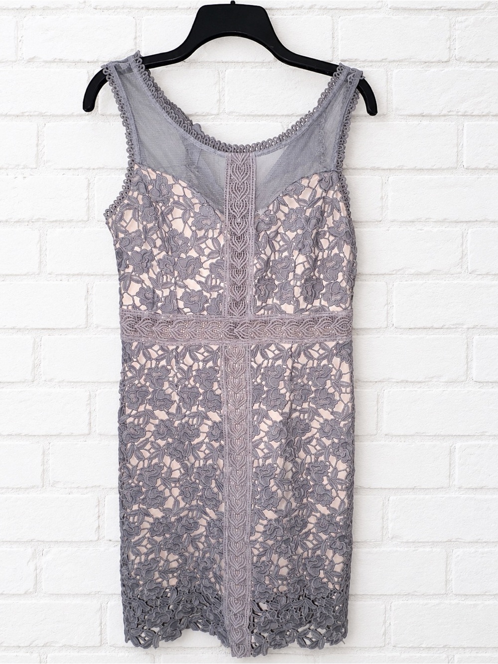 Soieblu Gray Lace Overlay Dress with Blush Lining